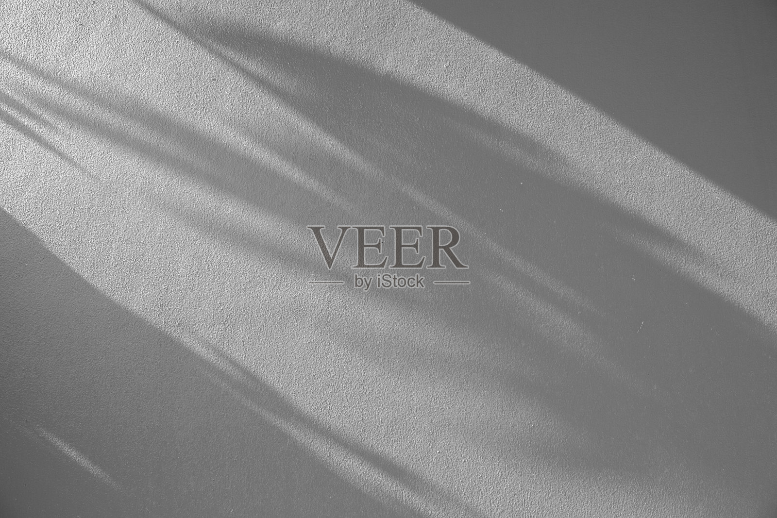 阴影叶子在灰色的墙壁纹理背景。在光照片摄影图片