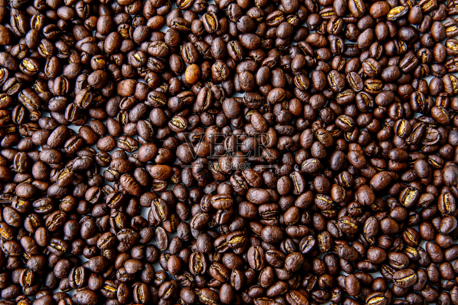 泰国，上图，摘要，农业，阿拉比卡咖啡-作物照片摄影图片