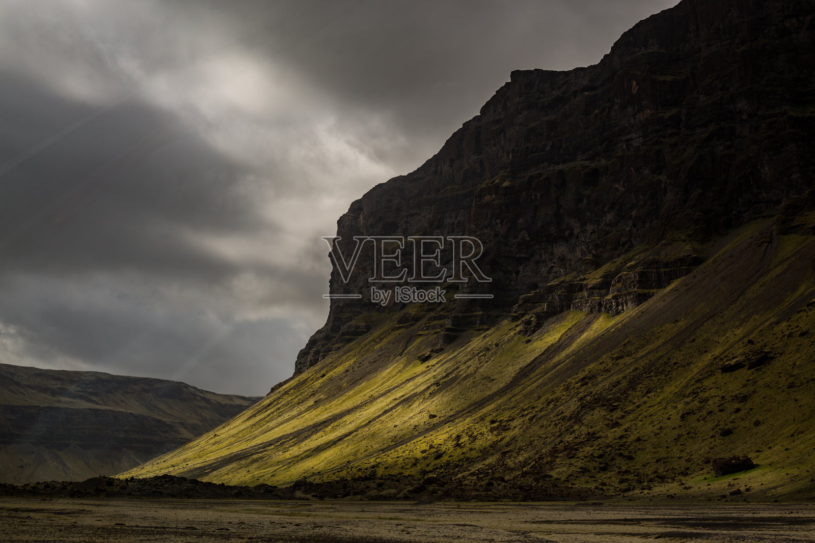 阳光下的草峰照片摄影图片