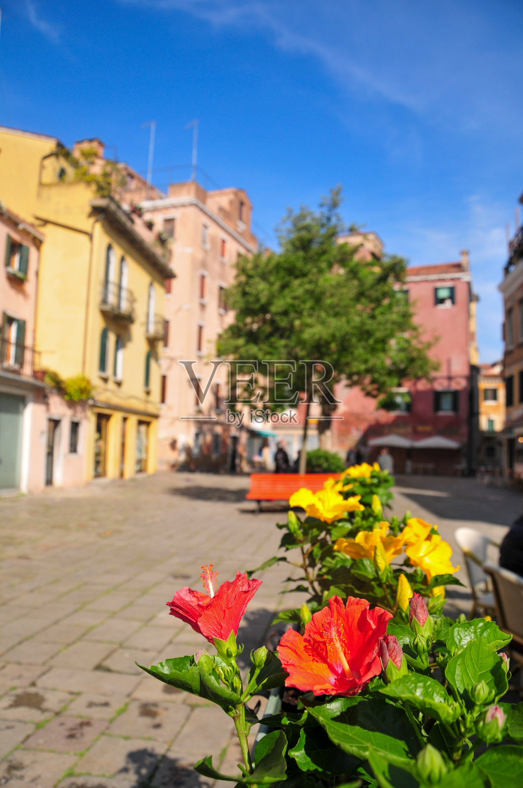 威尼斯后街的日常风景照片摄影图片
