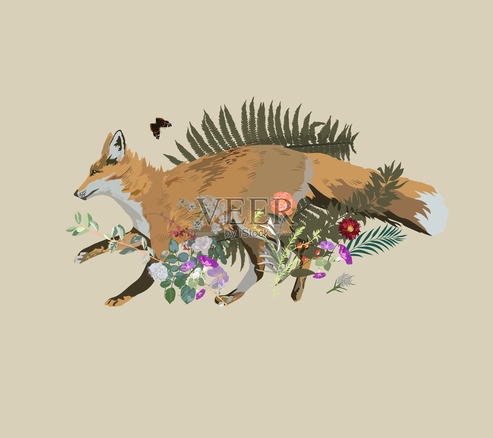 和狐狸跑花和插画图片素材