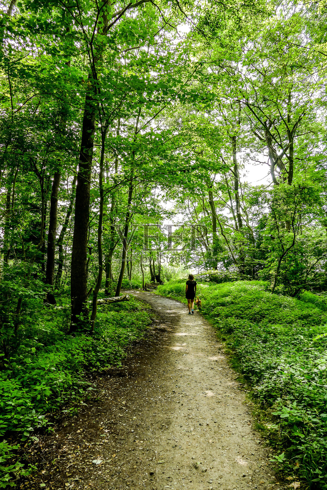 挪威，北欧，斯堪的那维亚照片摄影图片