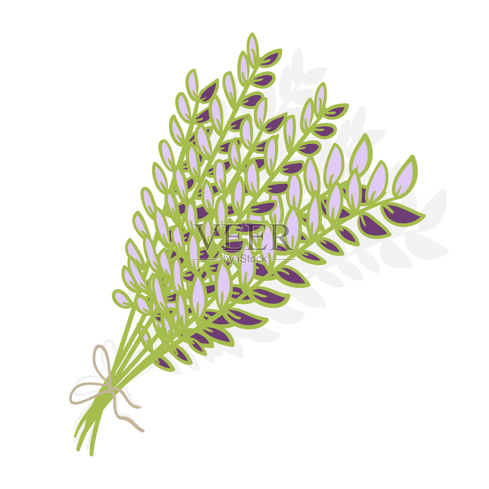 一束用绳子绑着的薰衣草树枝，卡通风格插画图片素材