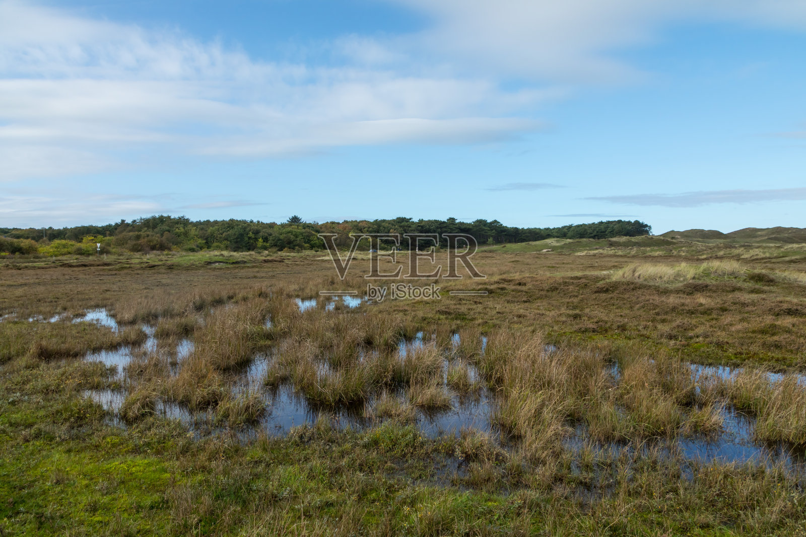 荷兰特塞尔岛的田园湿地景色照片摄影图片
