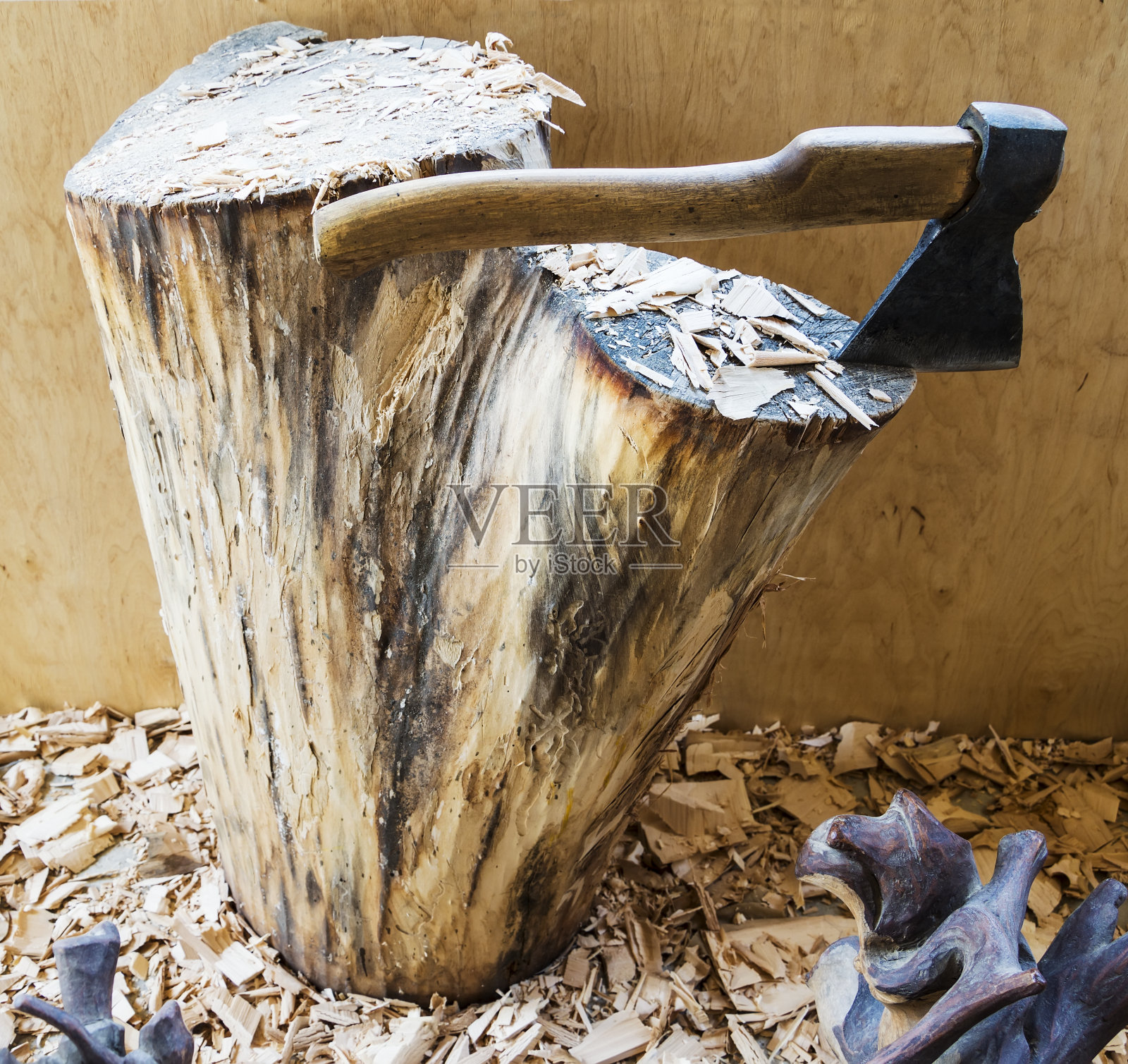 树桩上有一把斧头，周围有木屑。照片摄影图片