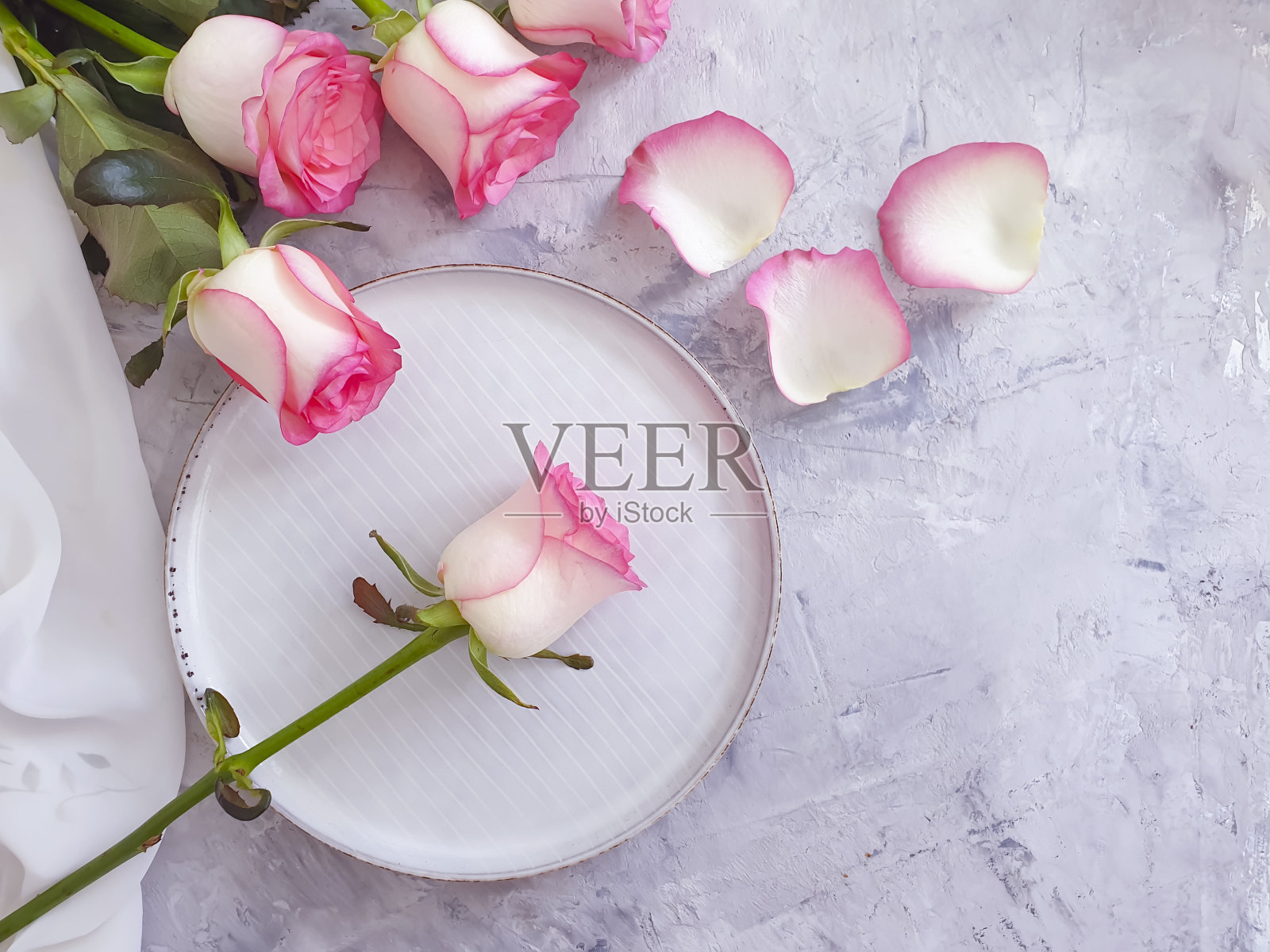 盘上的一朵玫瑰花照片摄影图片