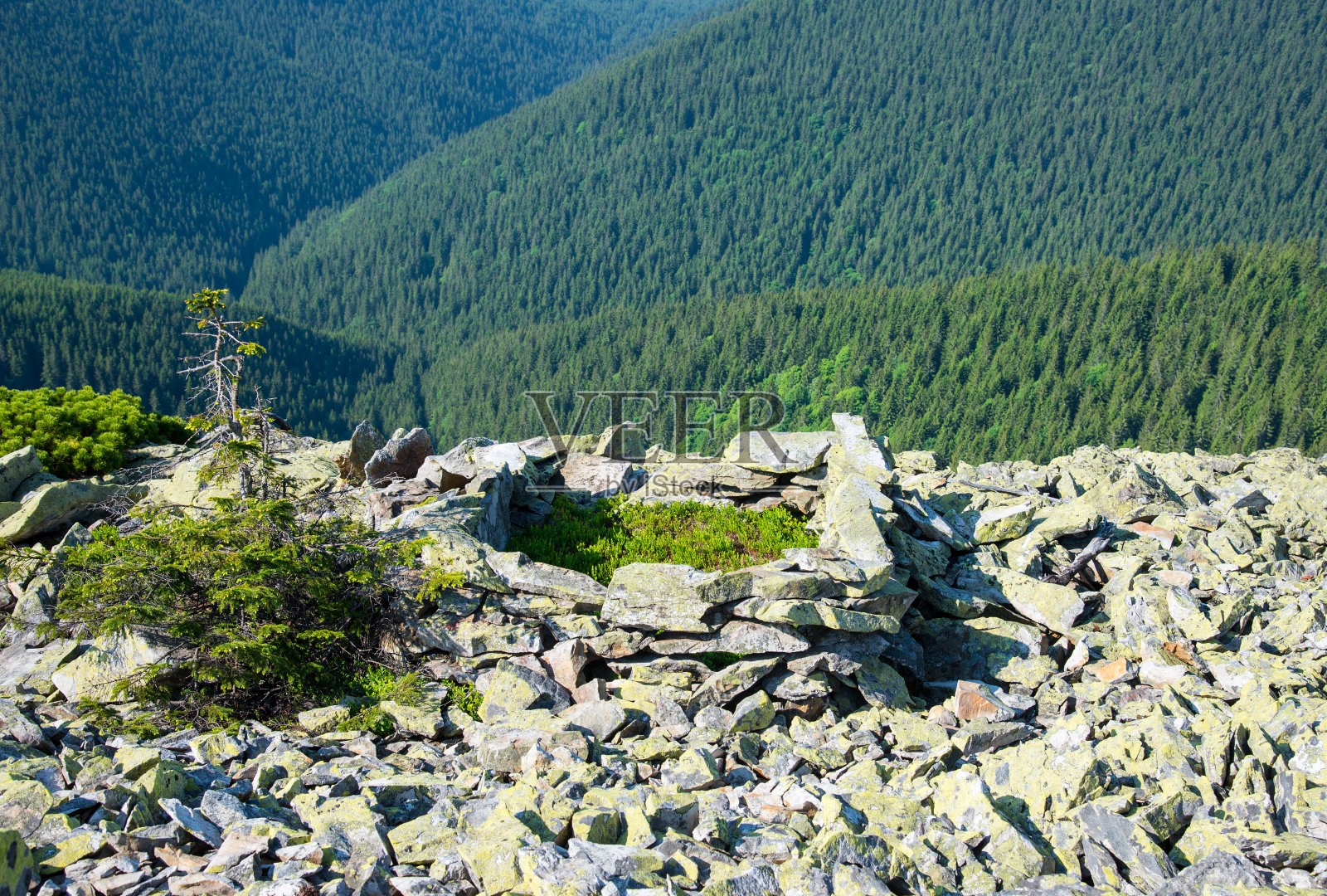 喀尔巴阡山脉照片摄影图片