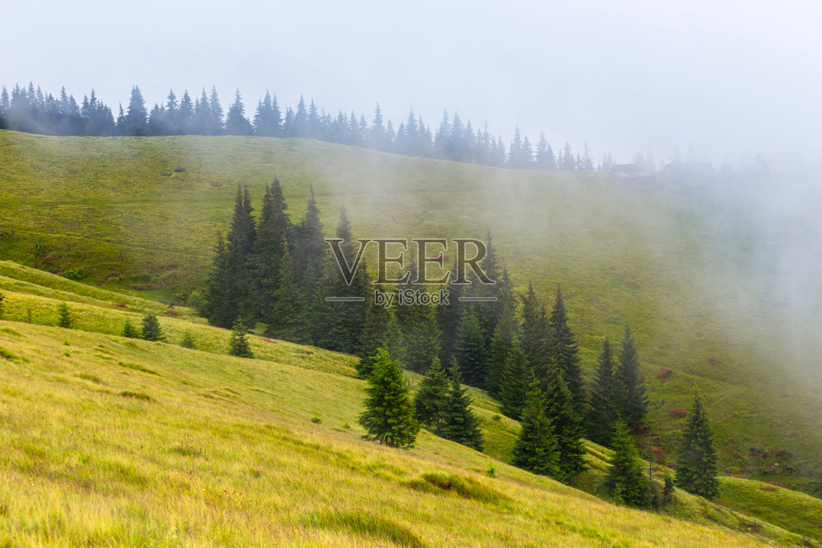 绿山坡上一层薄雾照片摄影图片