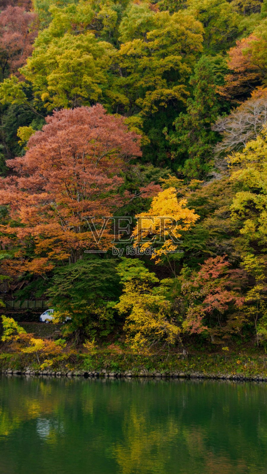 秋日俯瞰岚山峡谷照片摄影图片