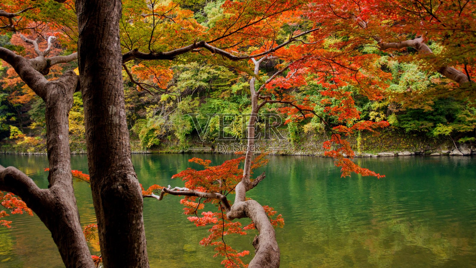 秋日俯瞰岚山峡谷照片摄影图片