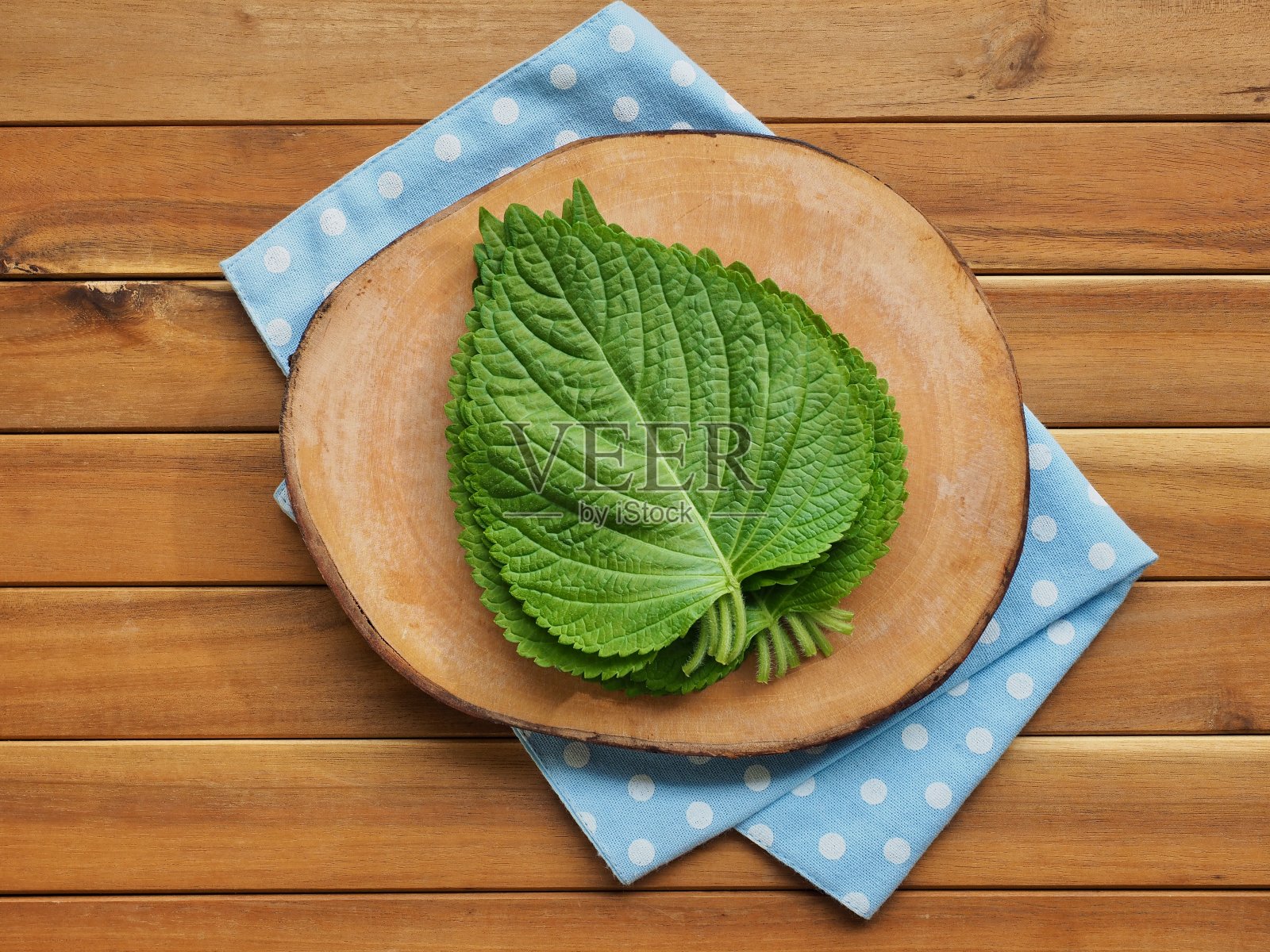 韩国新鲜有机芝麻叶照片摄影图片