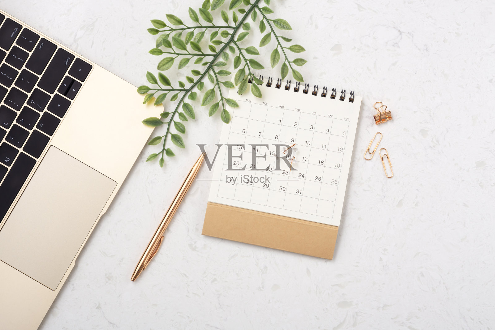 日历用金笔和绿叶照片摄影图片