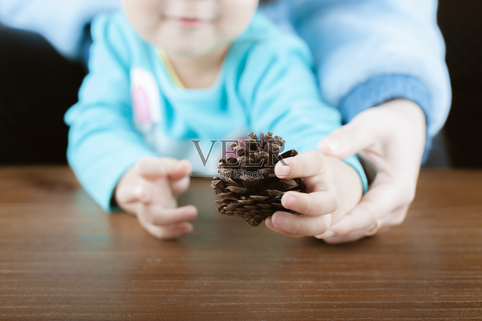 女婴拿着松果照片摄影图片