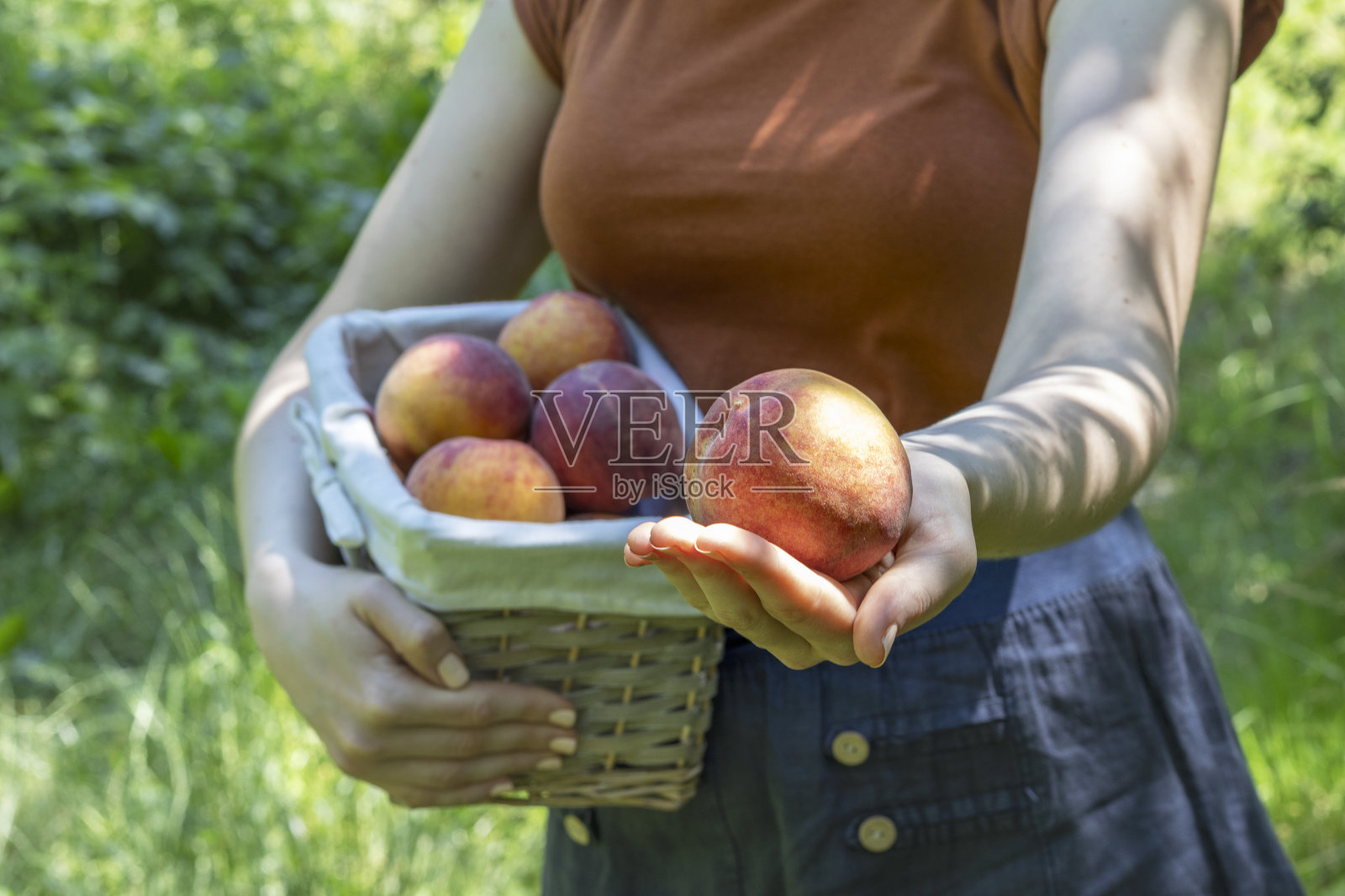 女人手掌托着成熟的桃子，另一只手拿着一篮子甜桃照片摄影图片