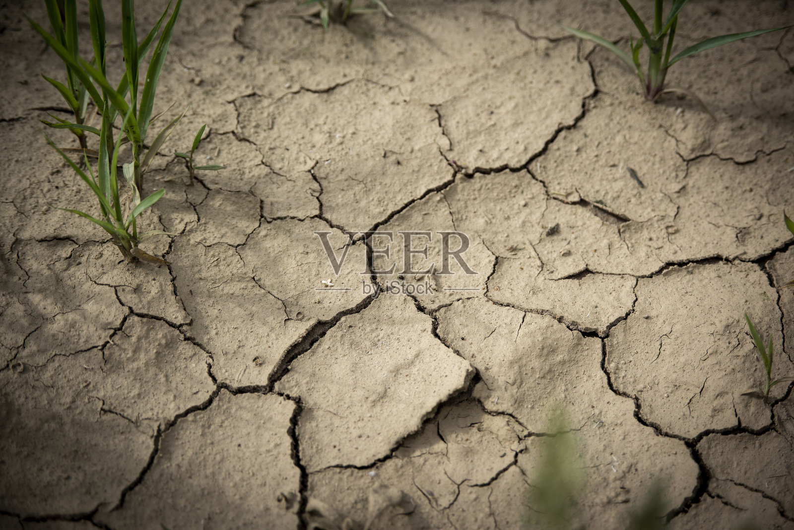 干燥的土壤被太阳晒裂了照片摄影图片