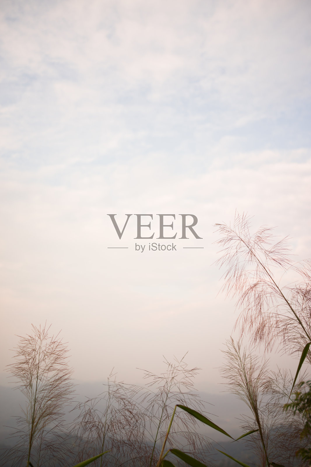 Khao Chang Phueak Thong Pha Phum 国家公园 890照片摄影图片