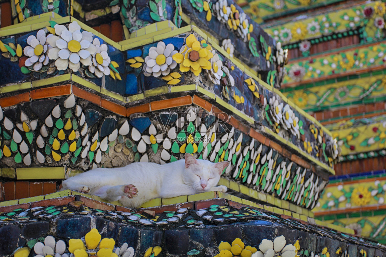 一只白猫睡在卧佛塔的马赛克塔上，泰国曼谷照片摄影图片