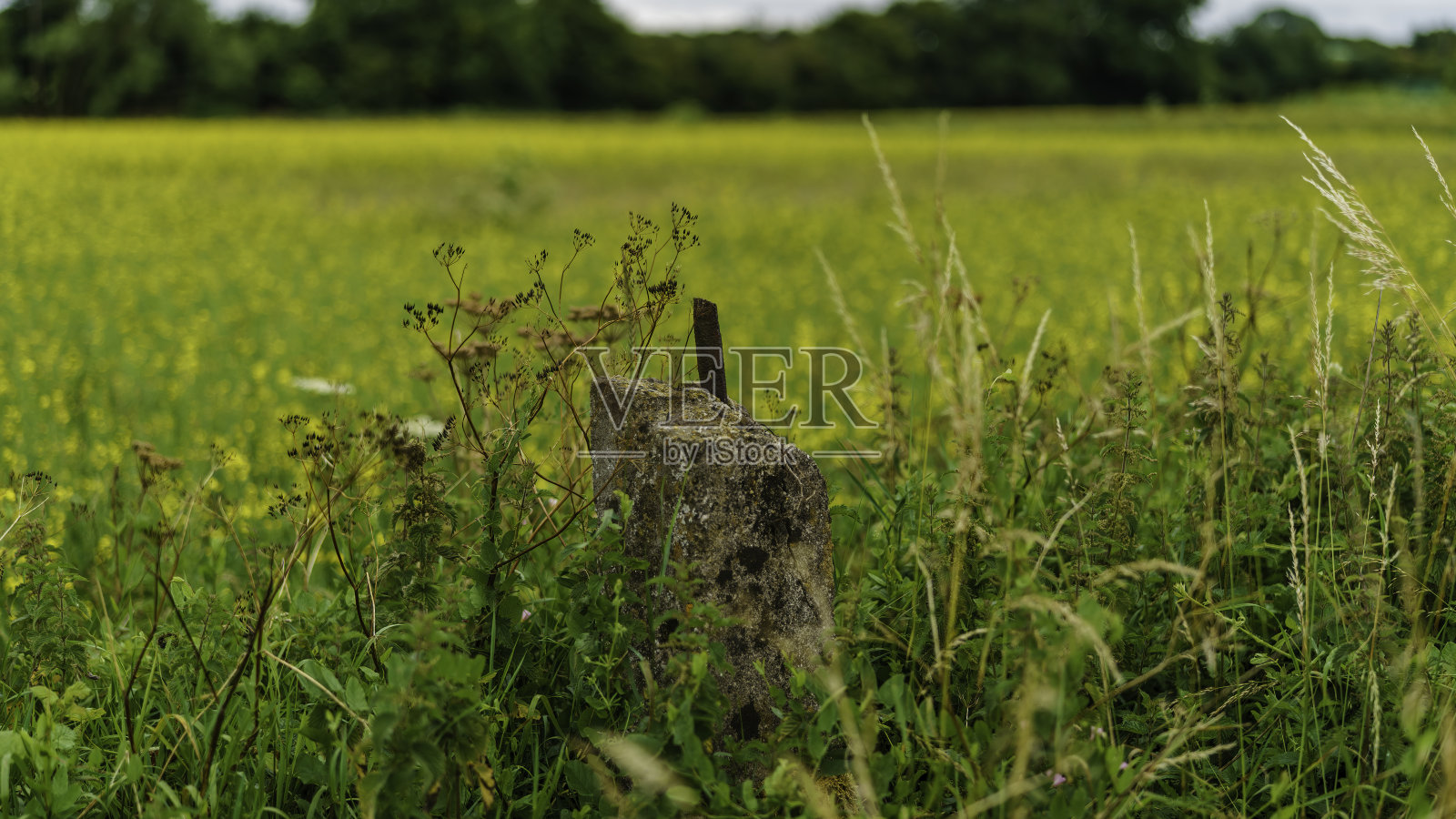 旧的混凝土柱照片摄影图片