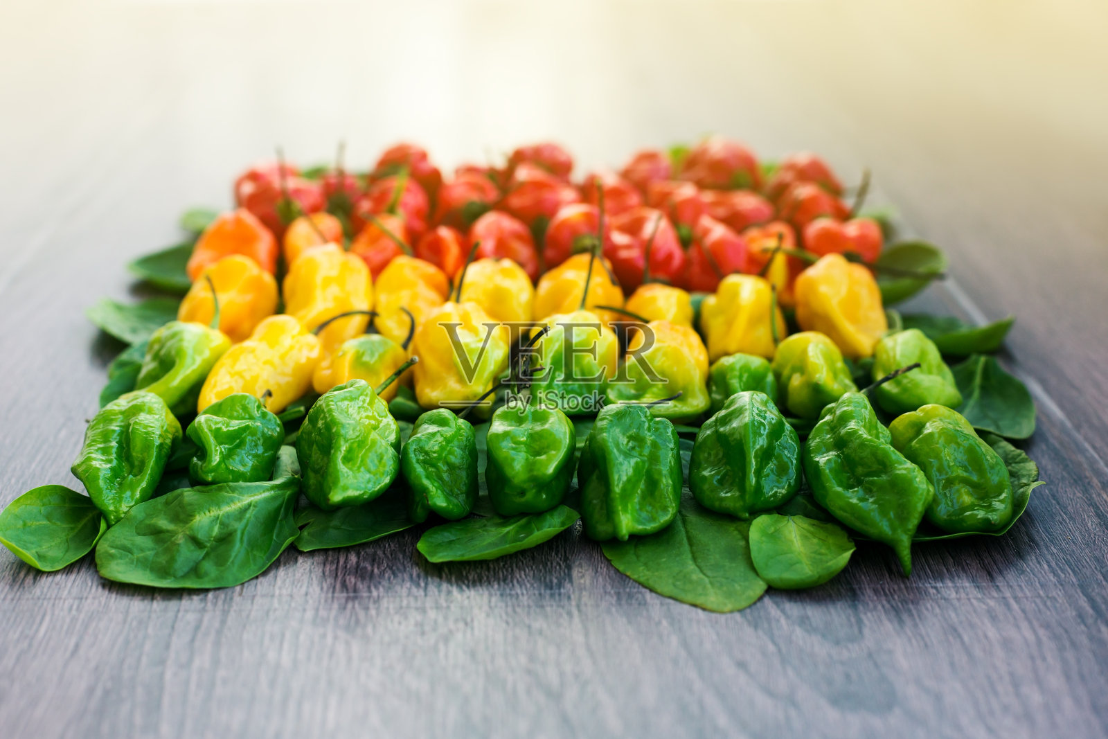 辣椒从红到绿呈梯度排列照片摄影图片