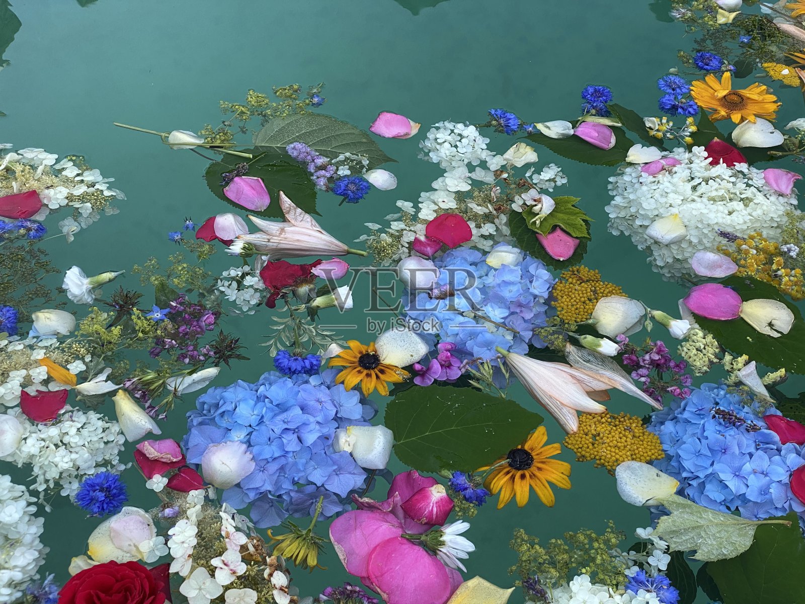 喷泉中五彩缤纷的花浴照片摄影图片