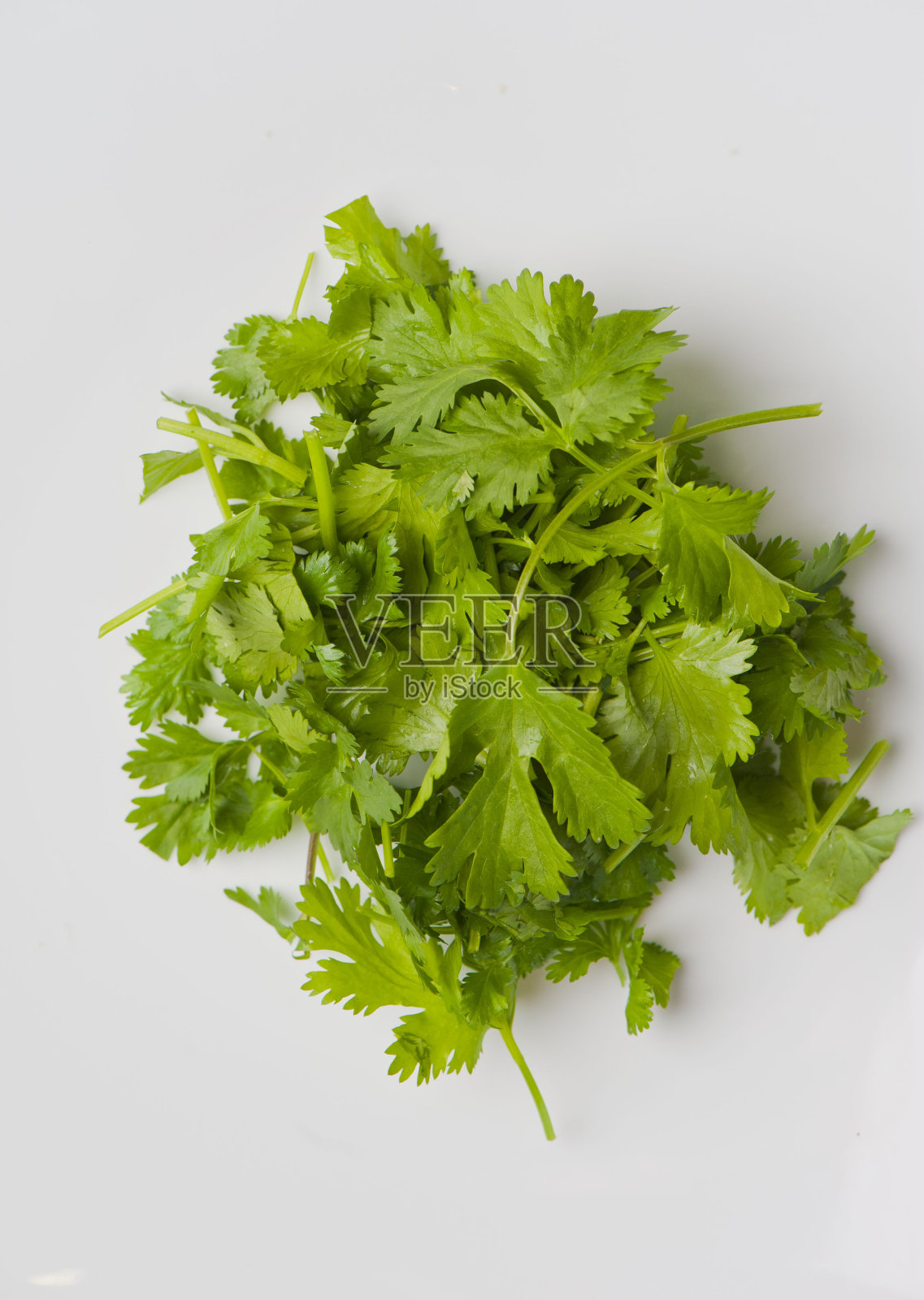 泰式炒粉或拉面配料及装饰。经典的日本越南菜或泰国菜配料:豆芽，罗勒，酸橙，洋葱，卷心菜，面条，猪肉，鸡肉，豆腐，葱，香菜，鸡蛋和辣椒酱。照片摄影图片