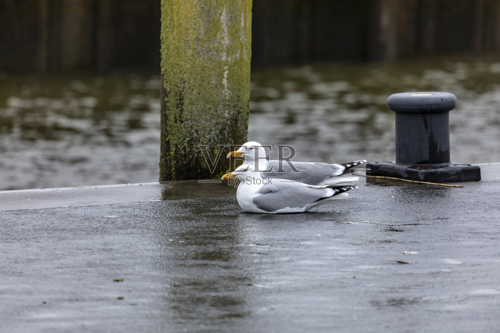 最好等一等照片摄影图片