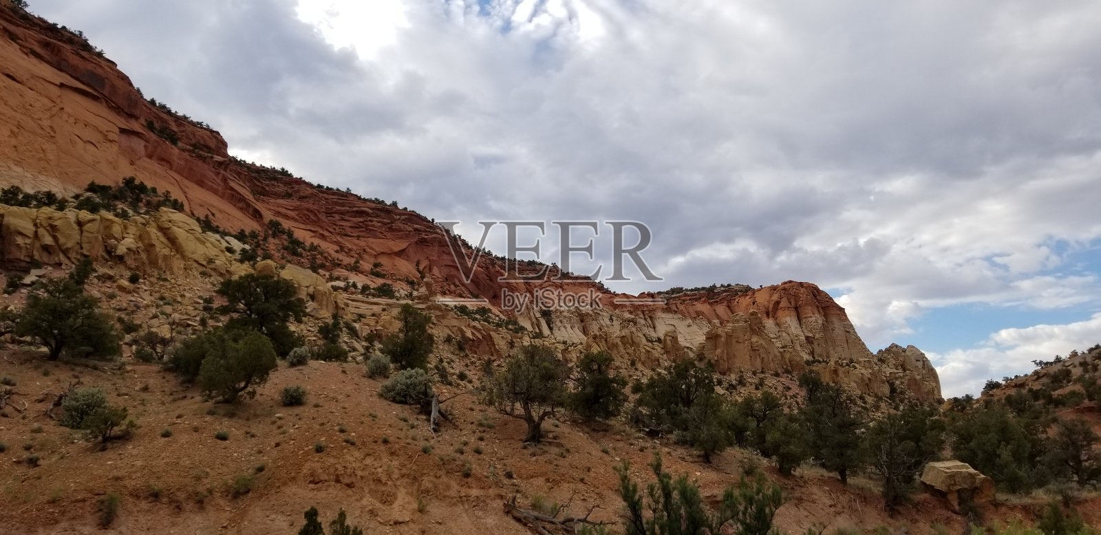 犹他州长峡谷Burr Trail Road沙漠中的春天照片摄影图片