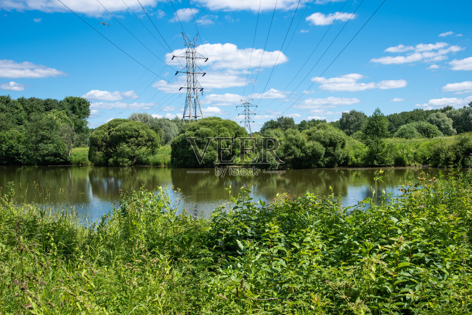 夏季景观-高压输电线路经过一个池塘周围的树木照片摄影图片