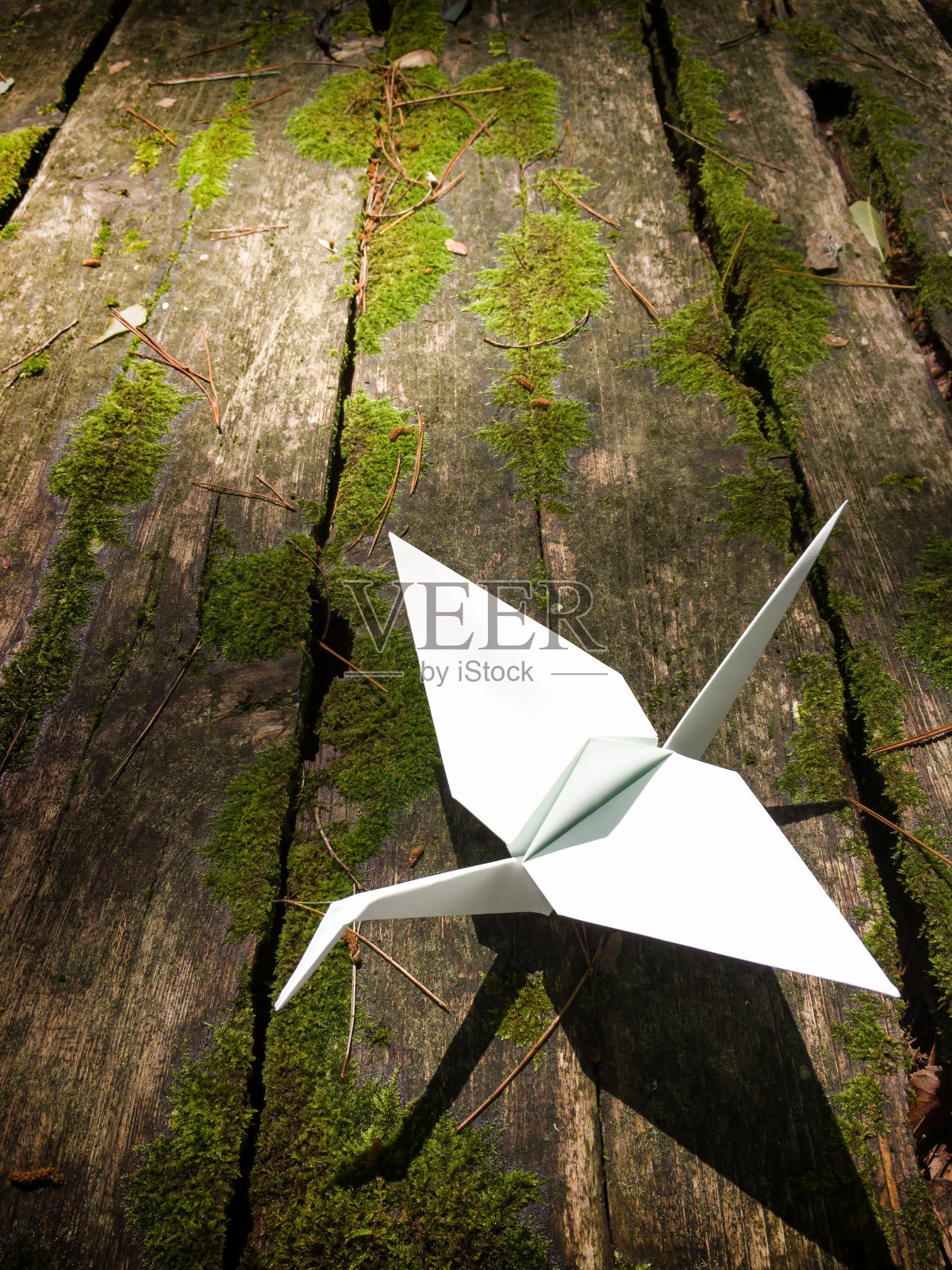 白纸鹤照片摄影图片