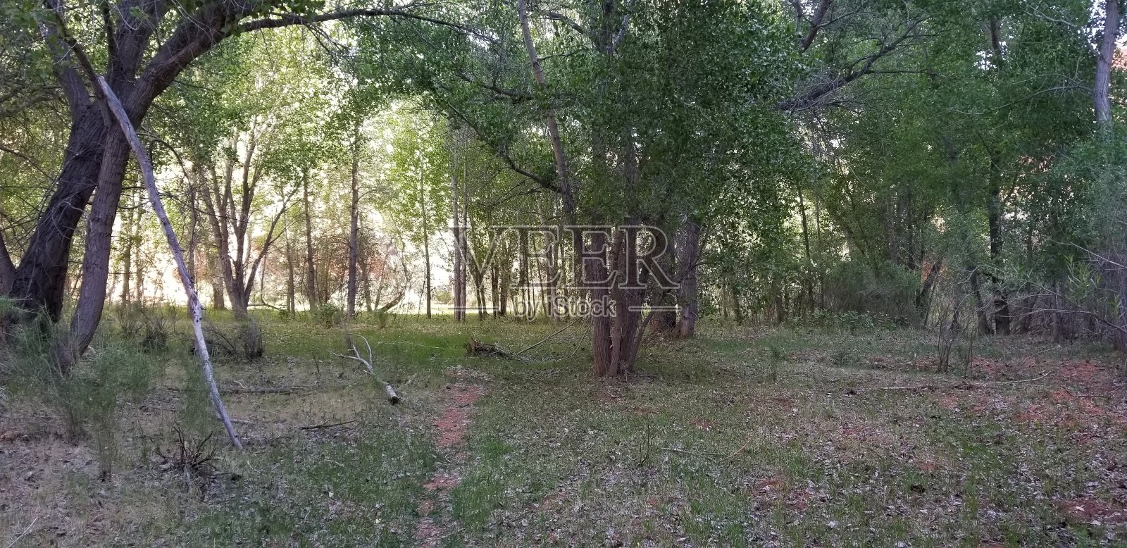 冲沟流照片摄影图片