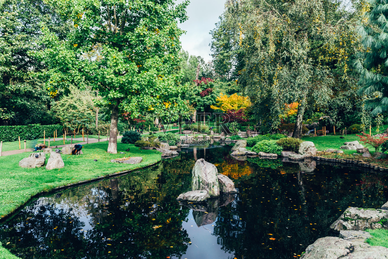 英国伦敦的秋天公园照片摄影图片