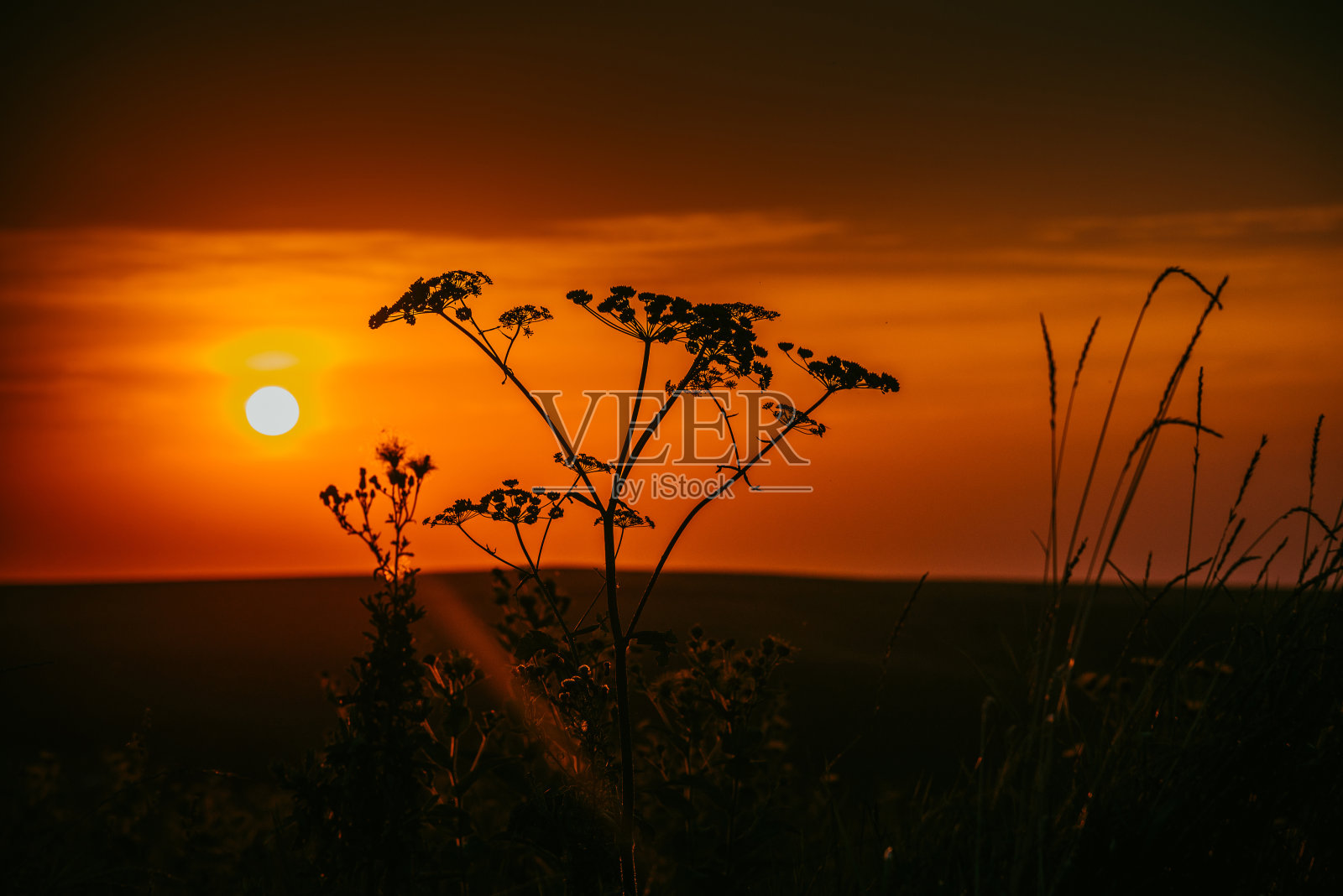 美丽的夏日日落照片摄影图片