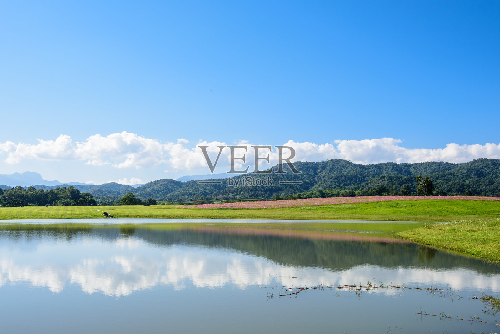 春天的风景照片摄影图片