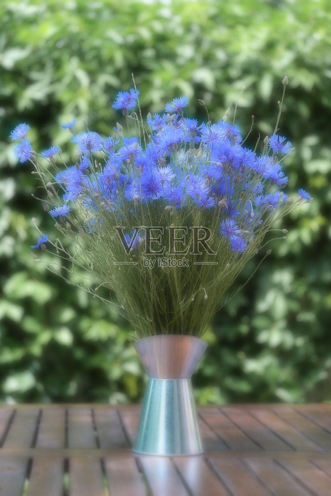 浅花。花瓶里的一束矢车菊。蓝色的花，夏天的野地植物照片摄影图片