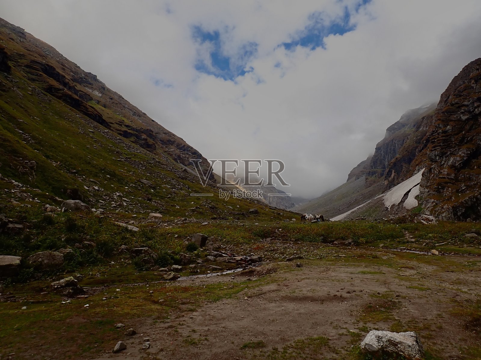 谷照片摄影图片
