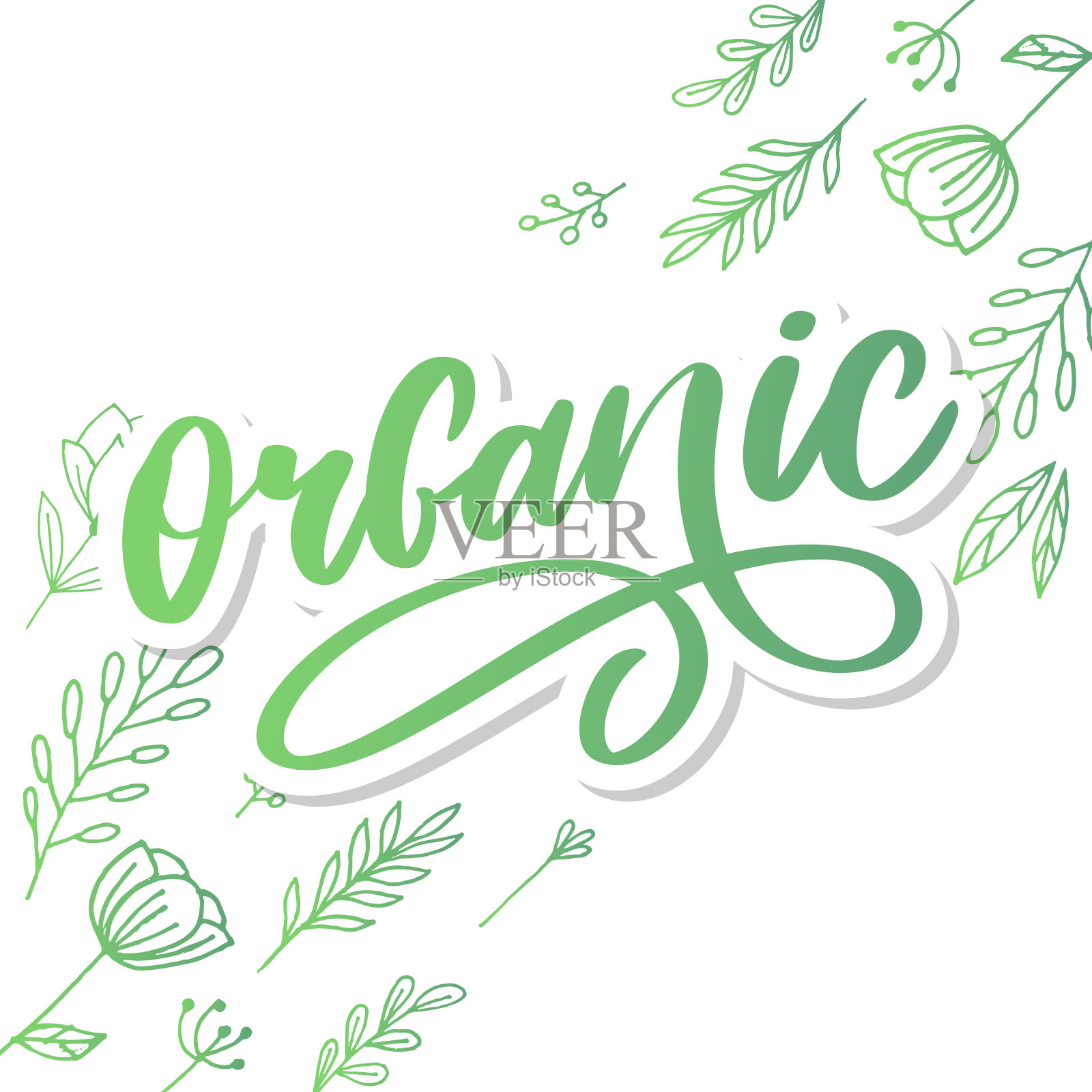 有机刷刻字。手绘单词有机与绿色的叶子。有机产品、健康食品市场的标签、标志模板。插画图片素材