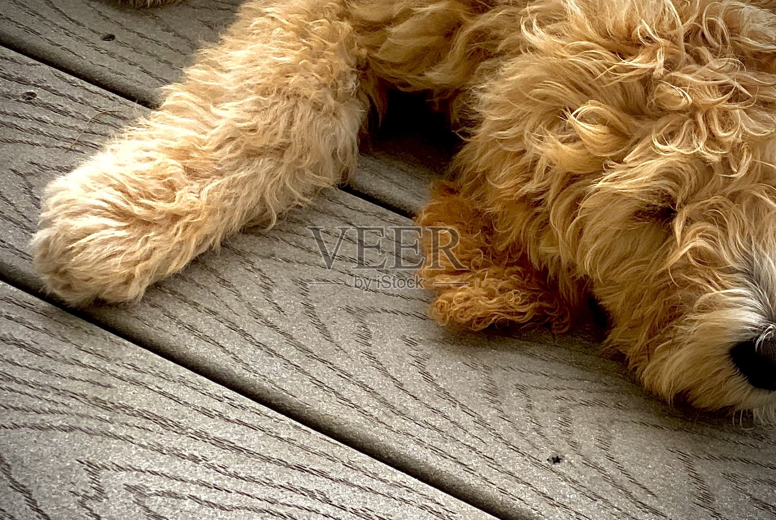 在甲板上睡觉照片摄影图片