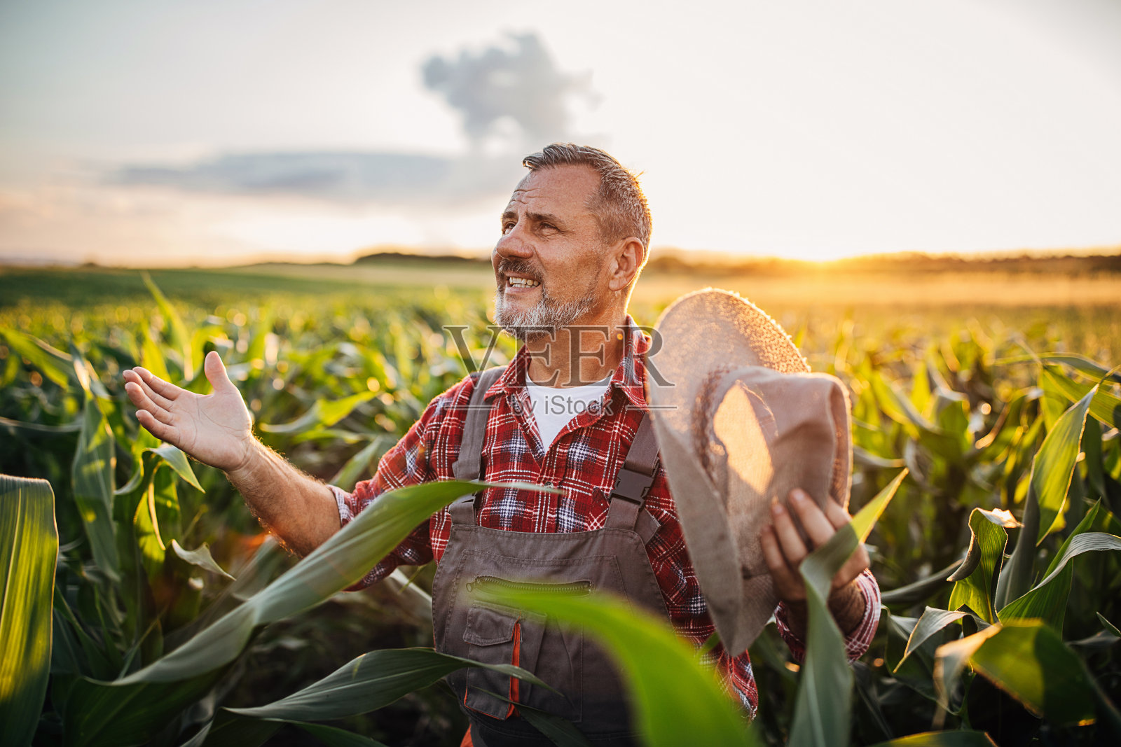一个快乐的农民在玉米地里照片摄影图片