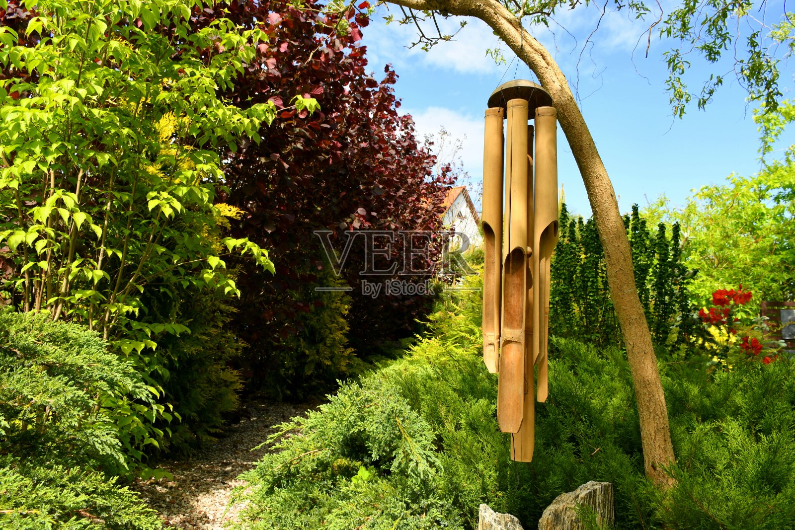 这是在一个无云的夏日，在一个装饰公园的灌木和树木之间的一棵小树上挂着一根用作乐器的中空竹棒照片摄影图片