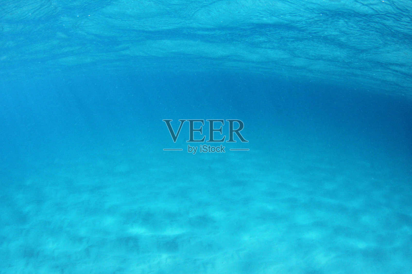 海洋水下背景照片摄影图片