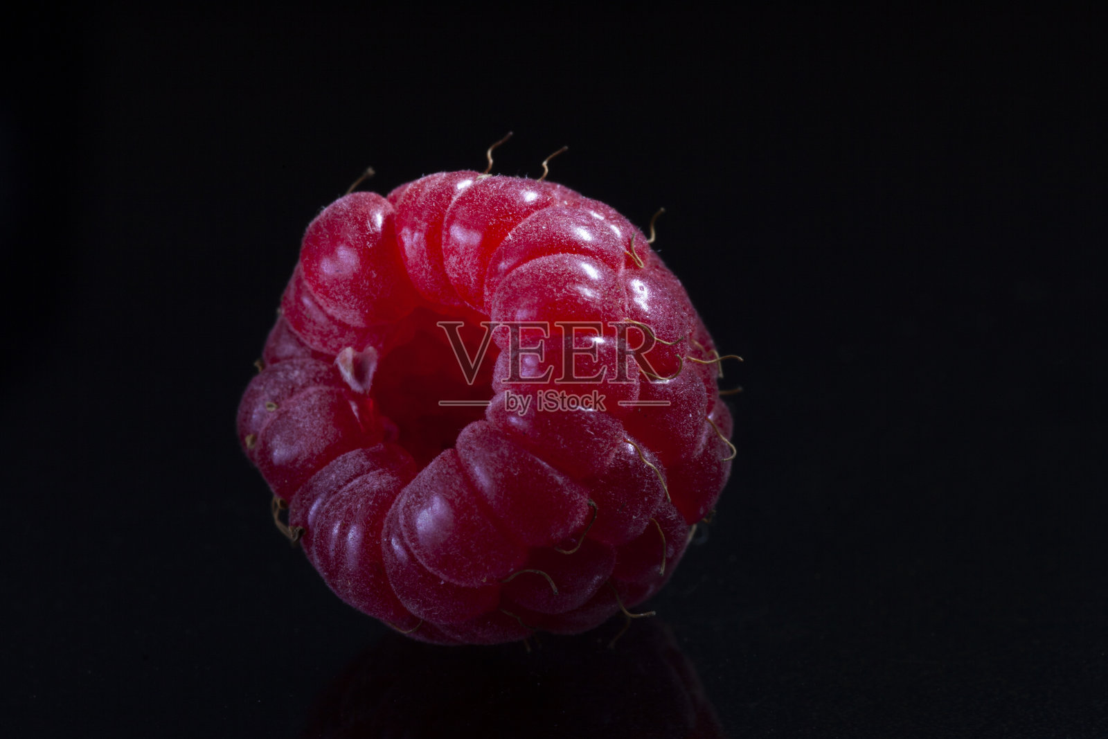 红莓照片摄影图片