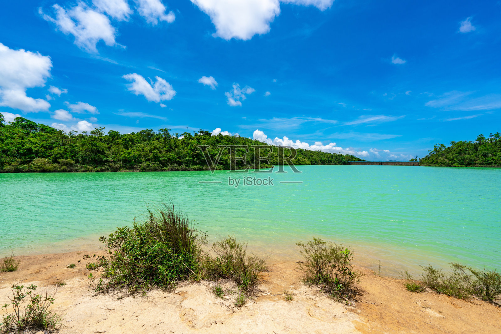 香港金山郊野公园水塘照片摄影图片