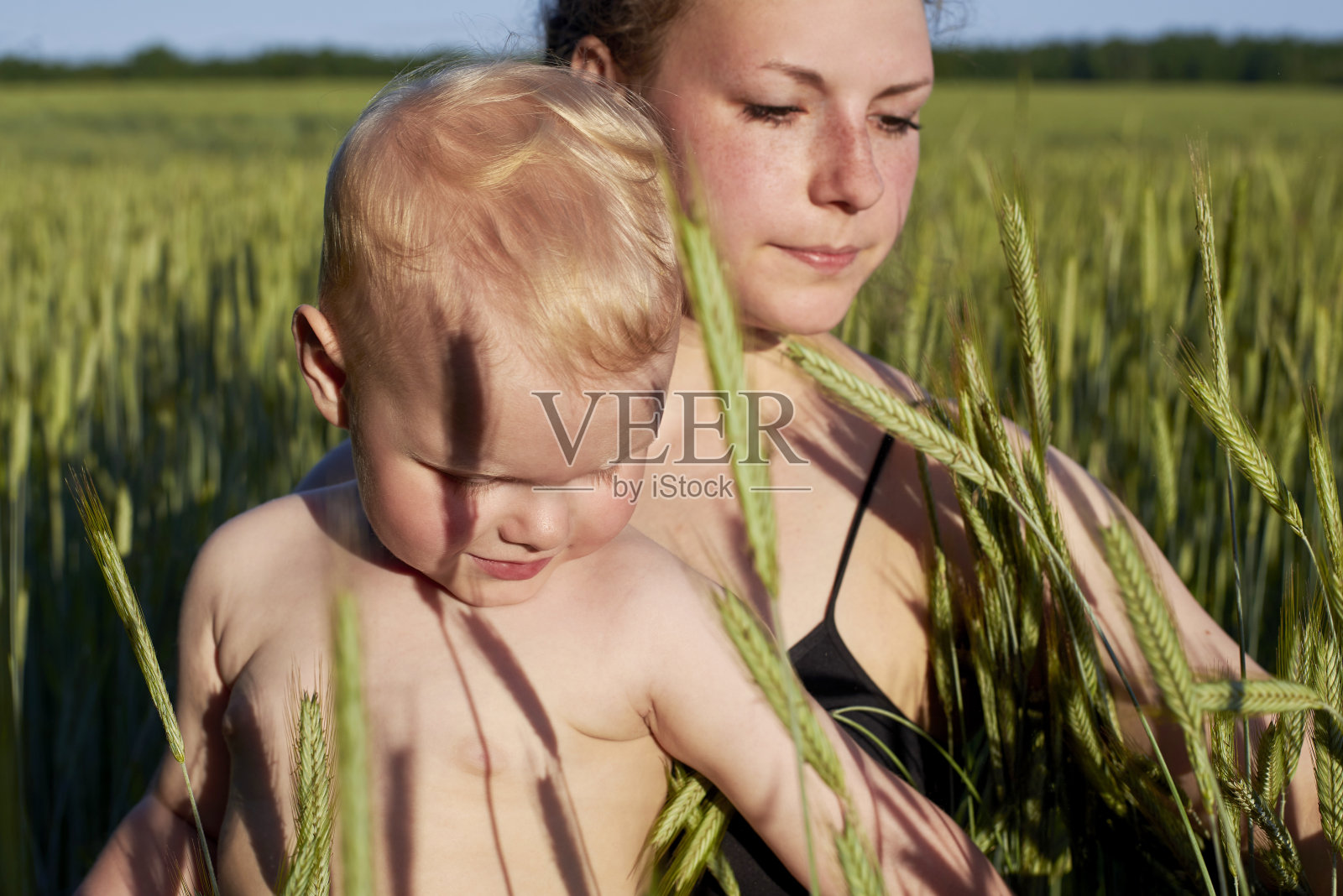夏天，妈妈抱着她的小儿子在麦田里。照片摄影图片