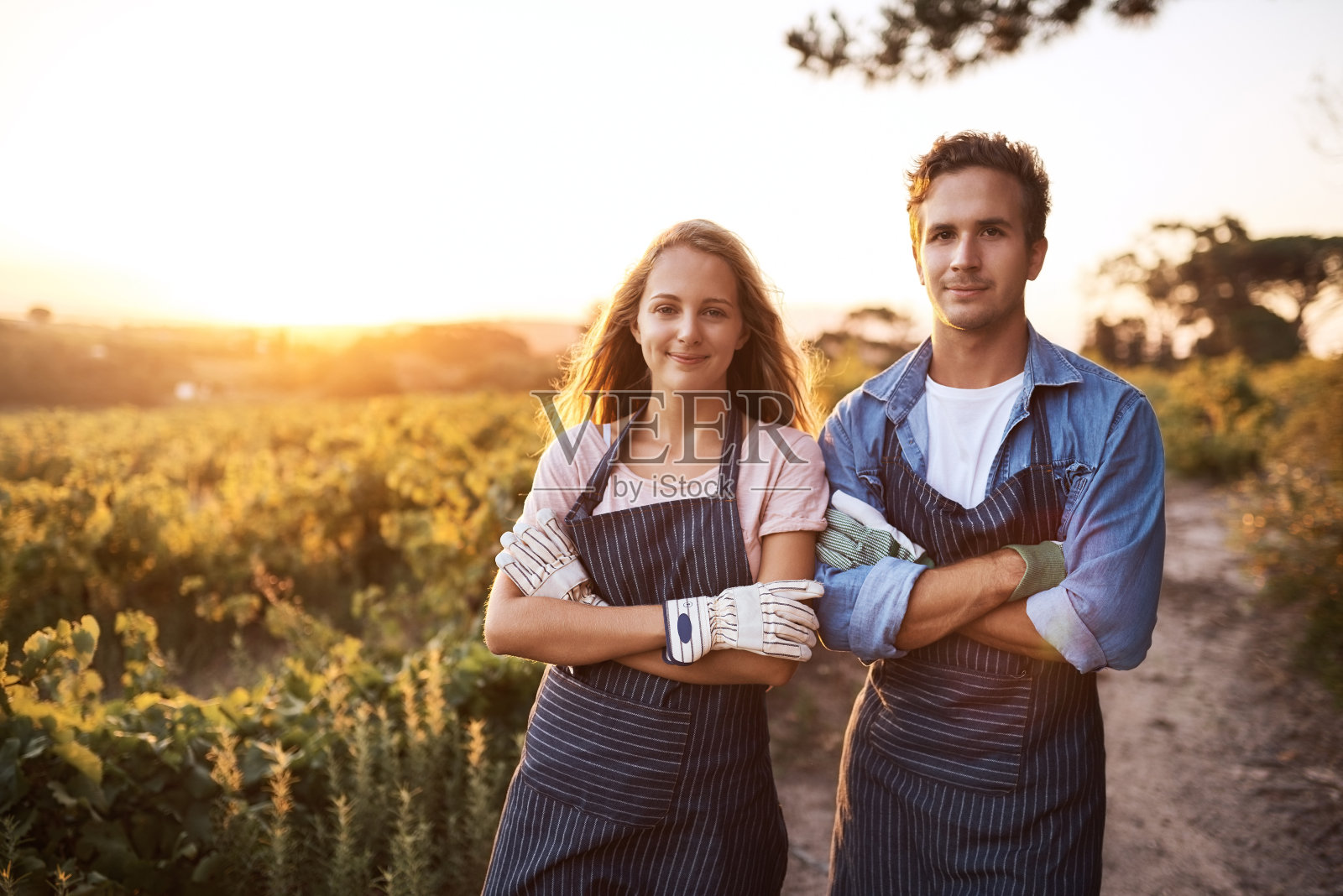 我们对有机产品的要求非常严格照片摄影图片