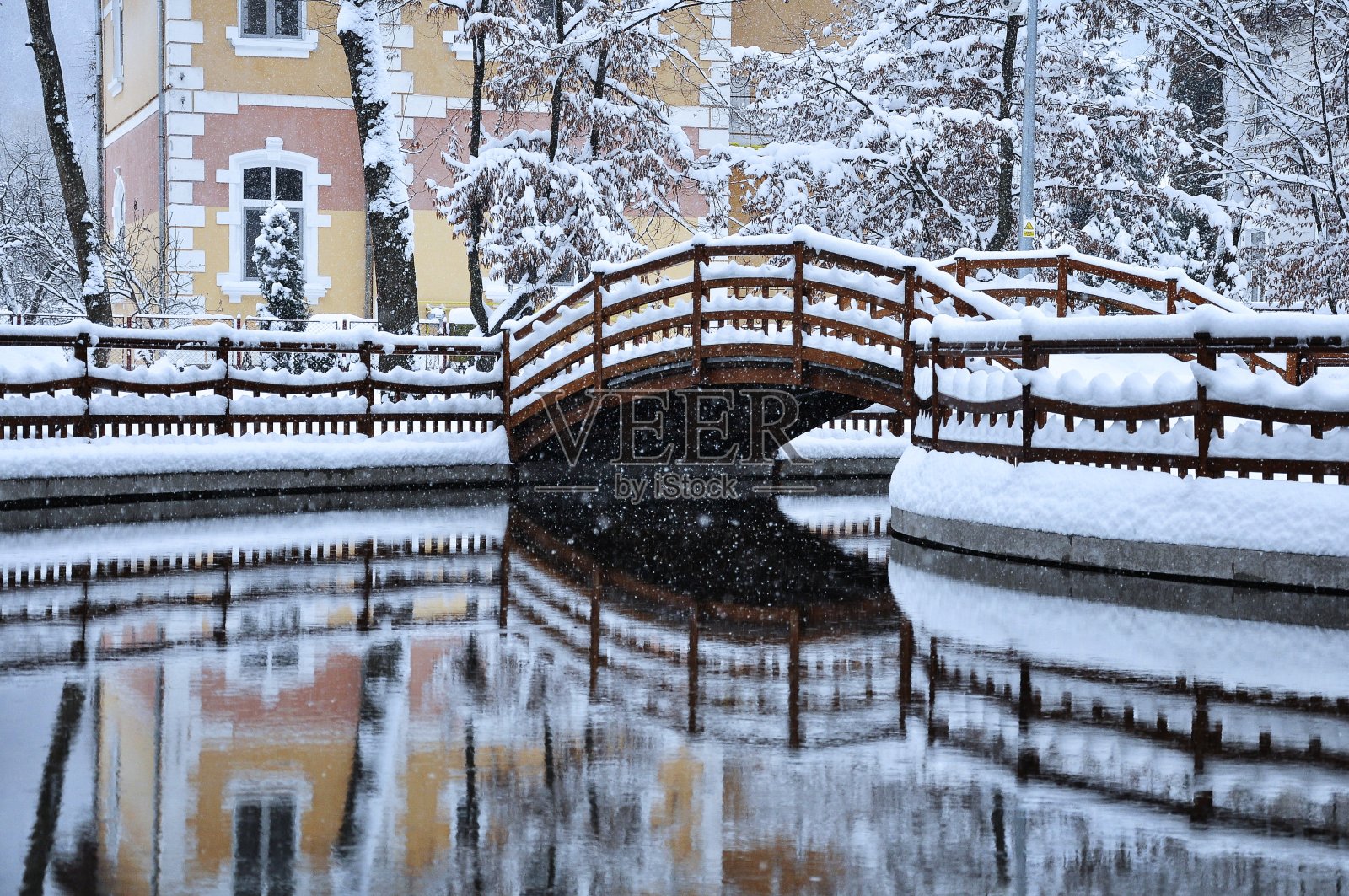 罗马尼亚，公园的冬季景观，Bistrita martie,2014照片摄影图片