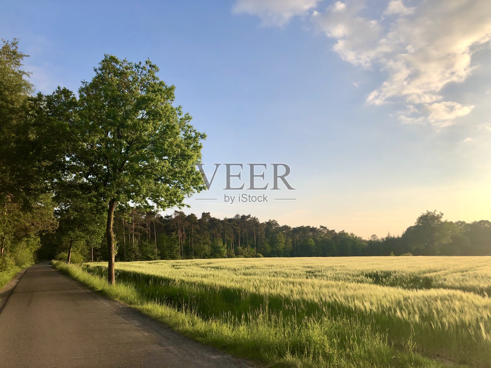 乡村的日落照片摄影图片
