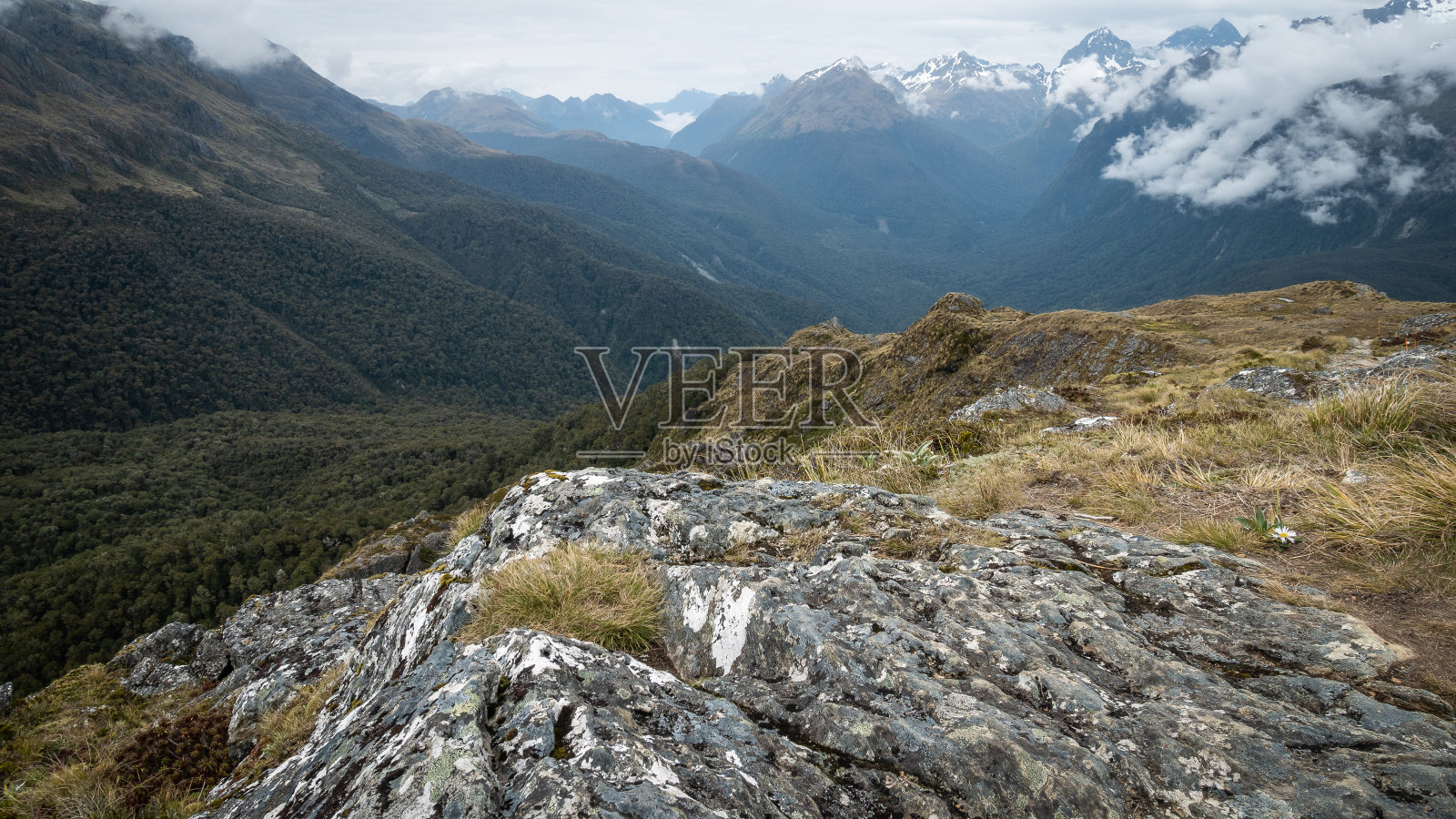 观看高山山谷(以山脉为背景)充满了茂密的树林照片摄影图片