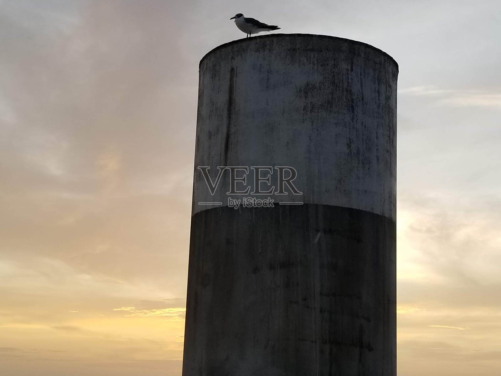 日落时分从加尔维斯顿渡船上看到的地平线。鸟栖息在浮标上。背景中戏剧性的缕缕云。照片摄影图片