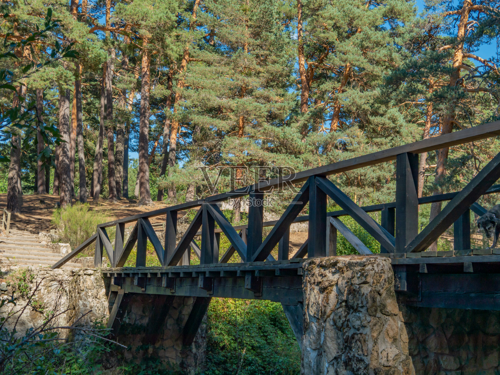 坚实的木桥照片摄影图片