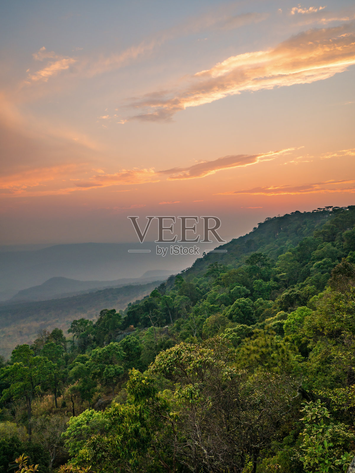 美丽的日落在yeabmek悬崖上的福克拉杜昂山国家公园在泰国罗依市。照片摄影图片
